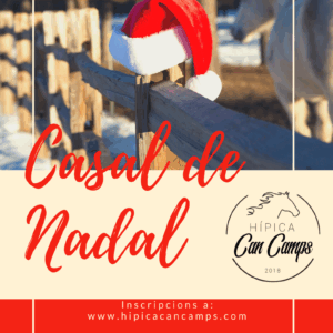 Casal Campus Navidad (Todos los días del 22 al 31/12)