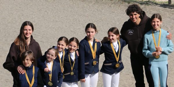 Ya teníamos ganas de Concurso🏆🐴