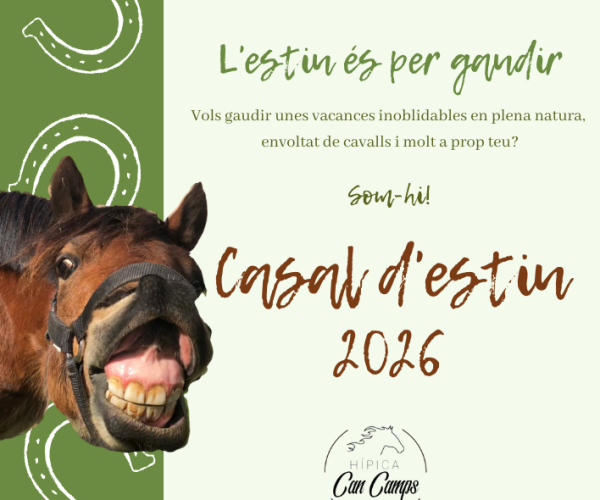 CASAL ESTIU 2026